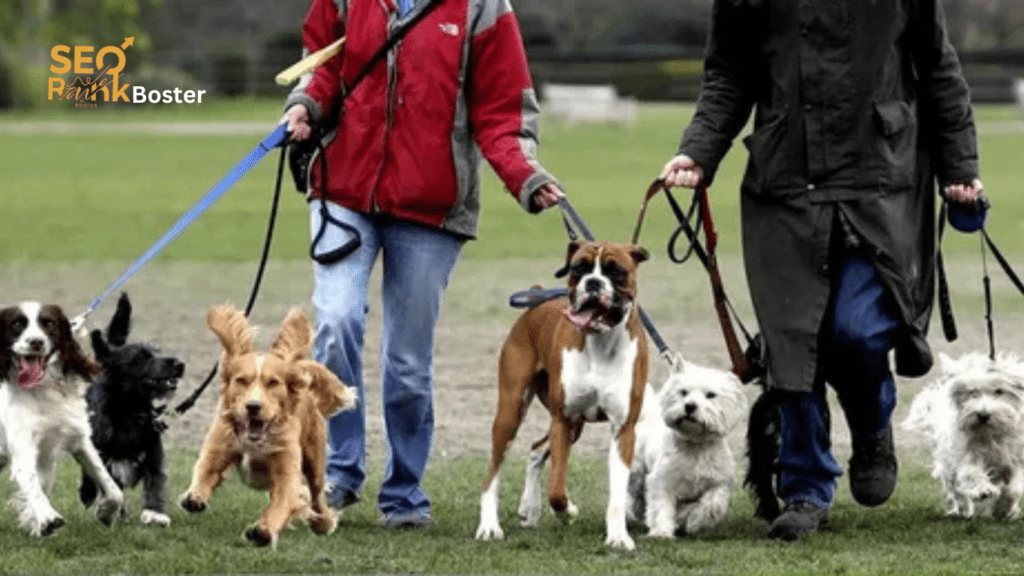 Dog Walking Business Website